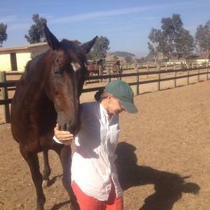 Meet your Posher, Ann